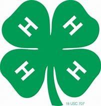 4-Hclover.jpg