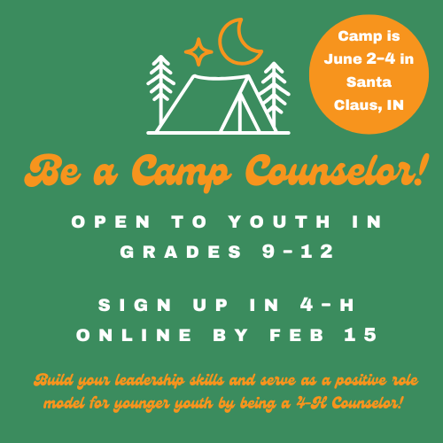 Camp Counselors