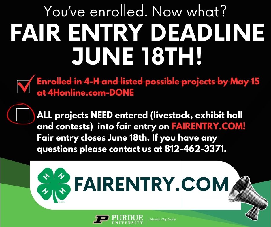 Fair Entry Image