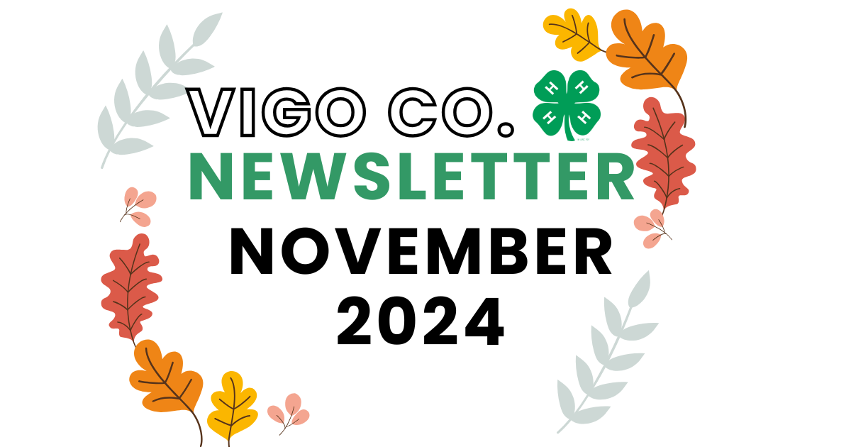 Vigo County 4-H November newsletter