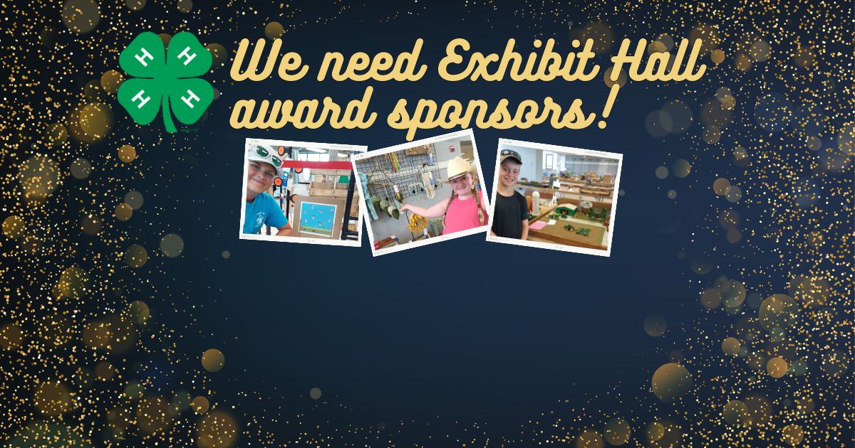 vigo county award sponsors