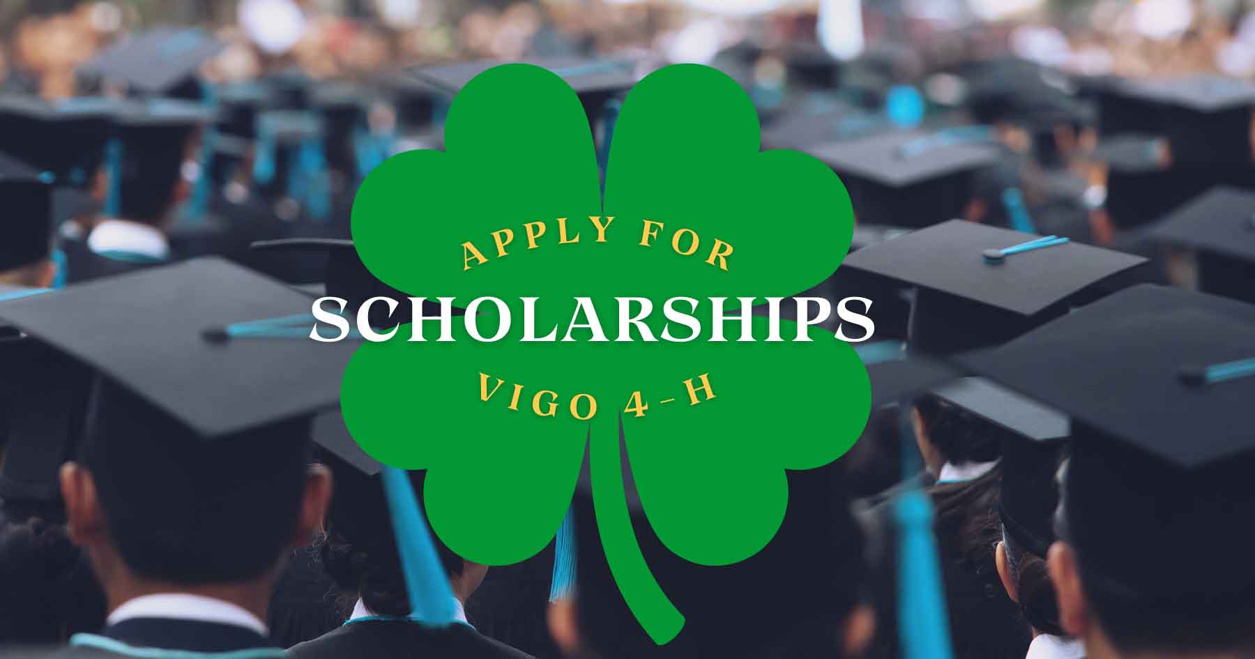 scholarships banner