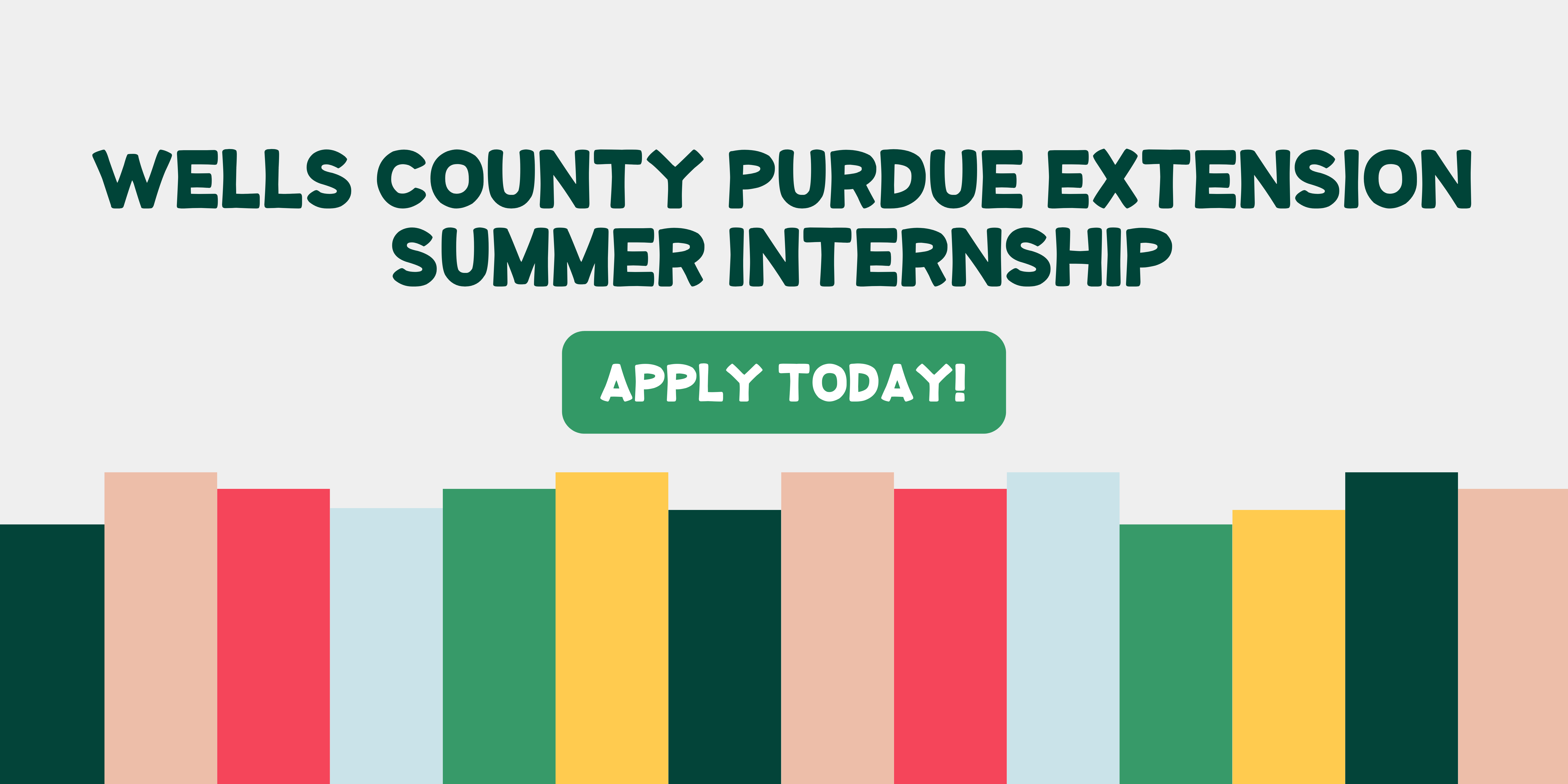 summerinternship