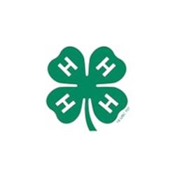 4-Hclover.jpg