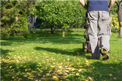 mowing.jpg