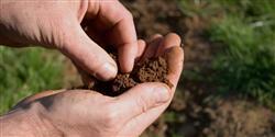 soil.jpg