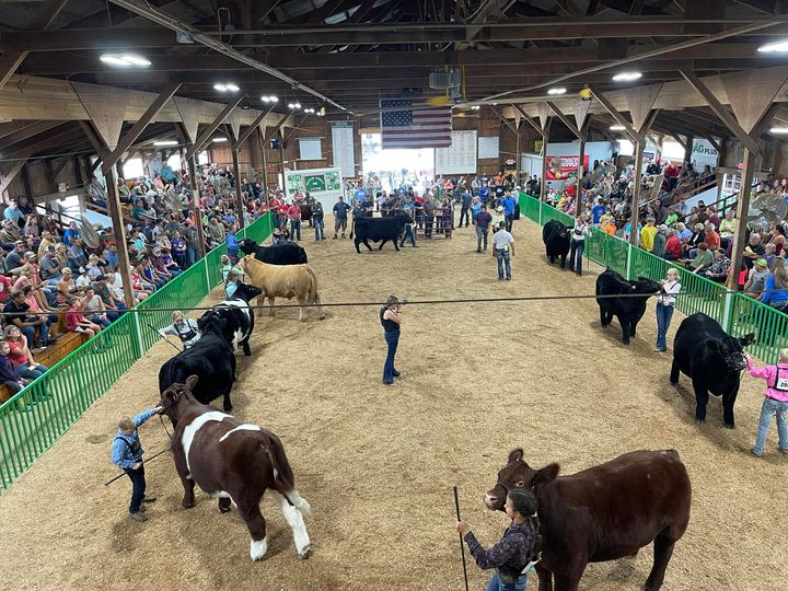 2022 4-H Beef Show