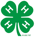 4-clover.jpg