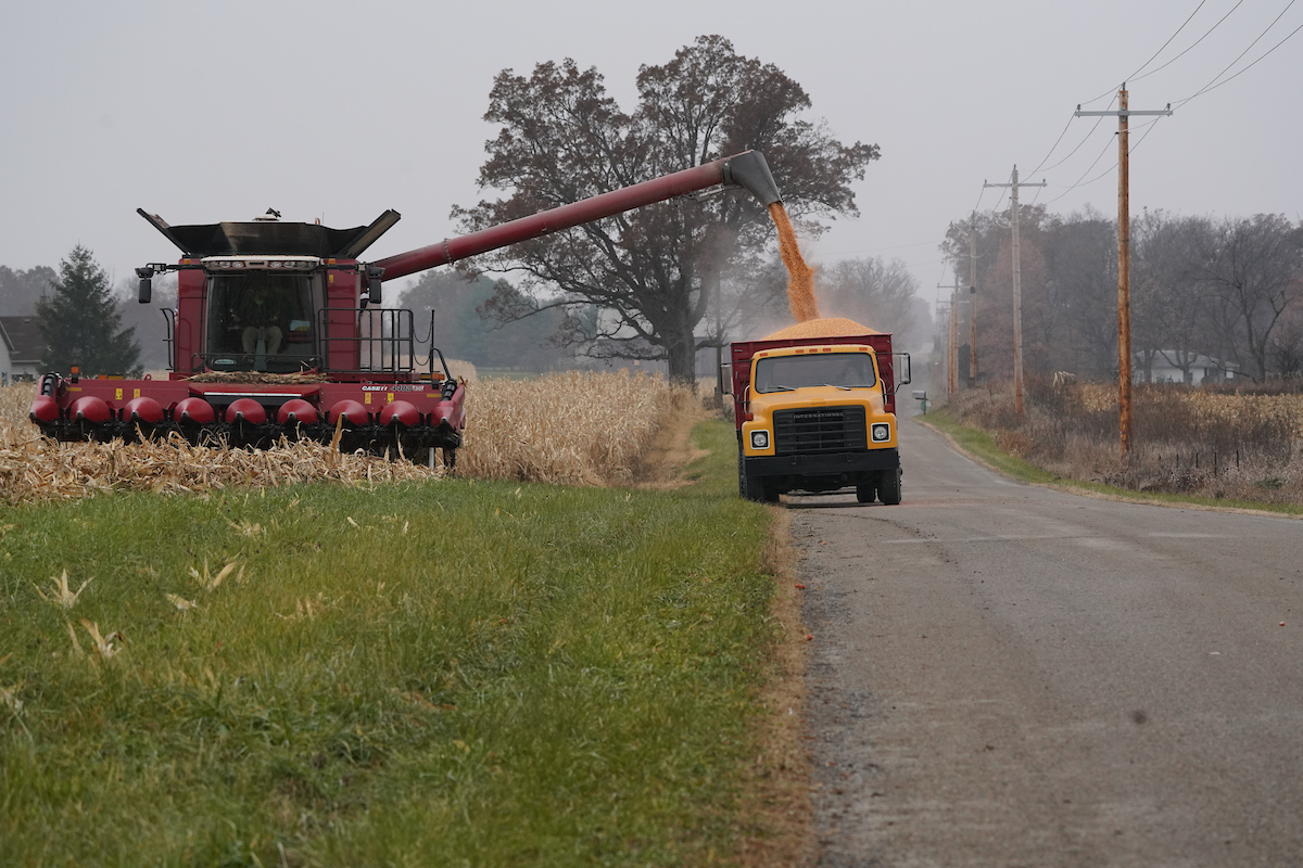combine unloading corn to truck parked on road