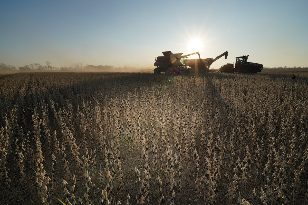 combine in soybean field