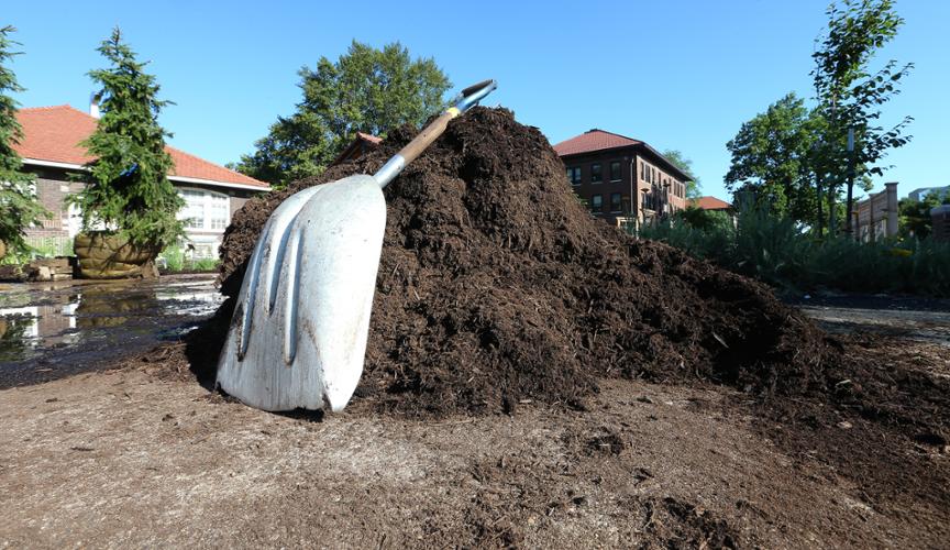 mulch