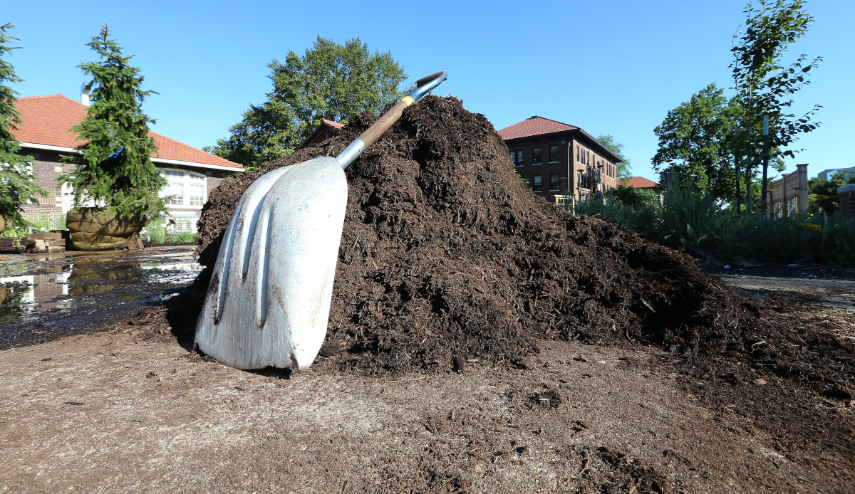 mulch