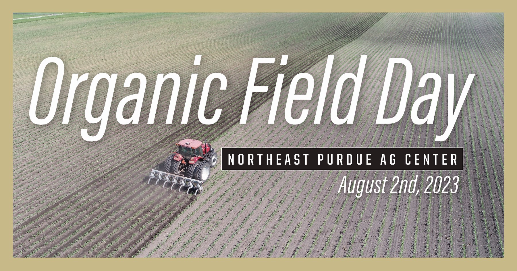 organic field day