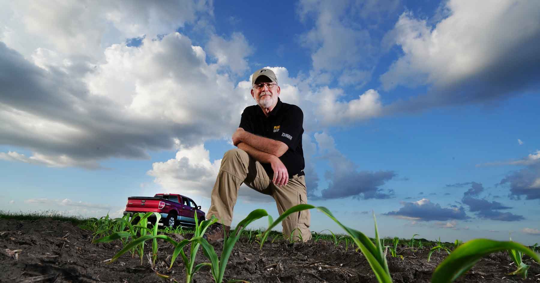 Should I Plan to Add Sulfur to Crops?