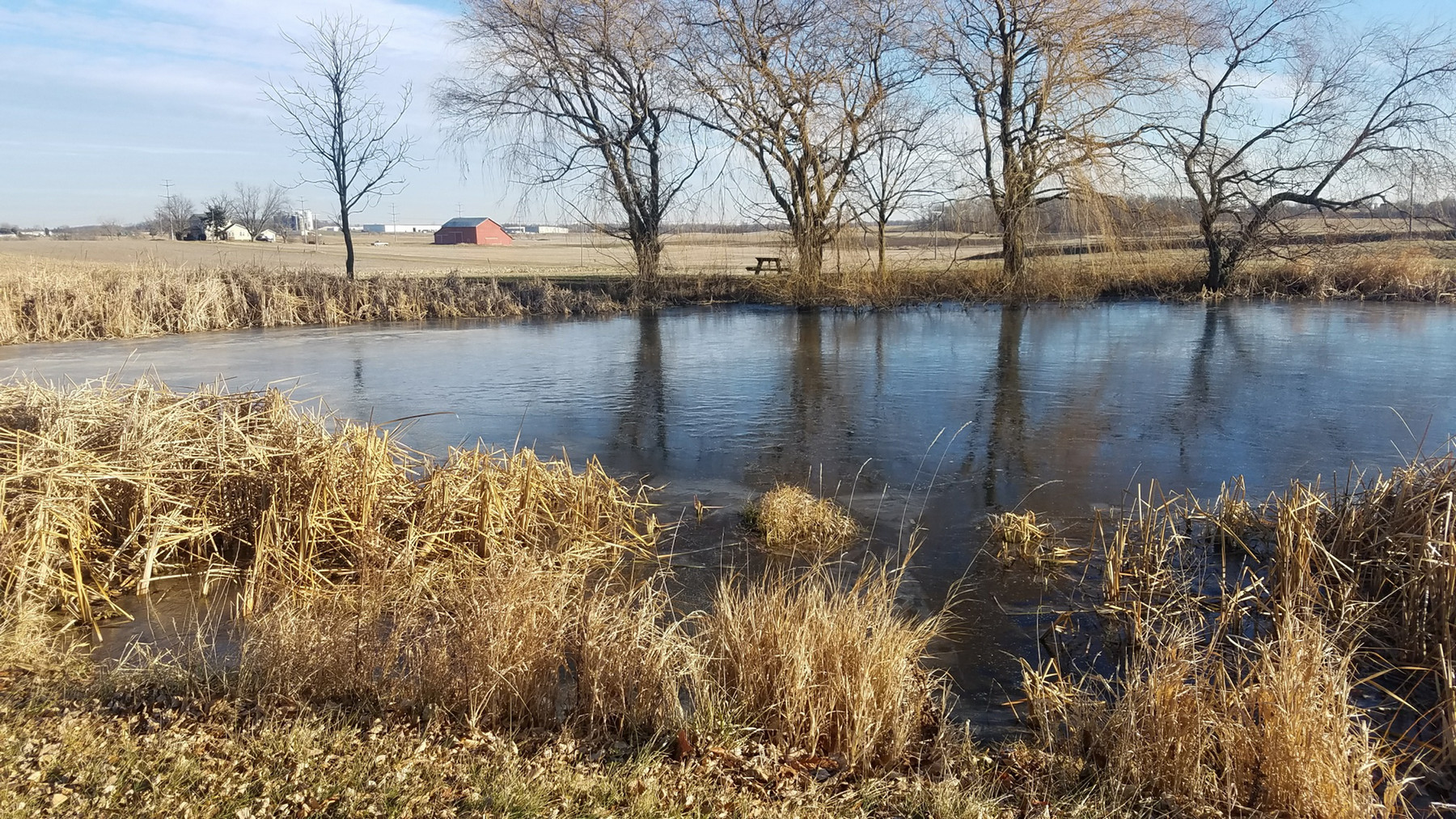 pond