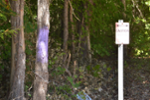 purple paint: keep out