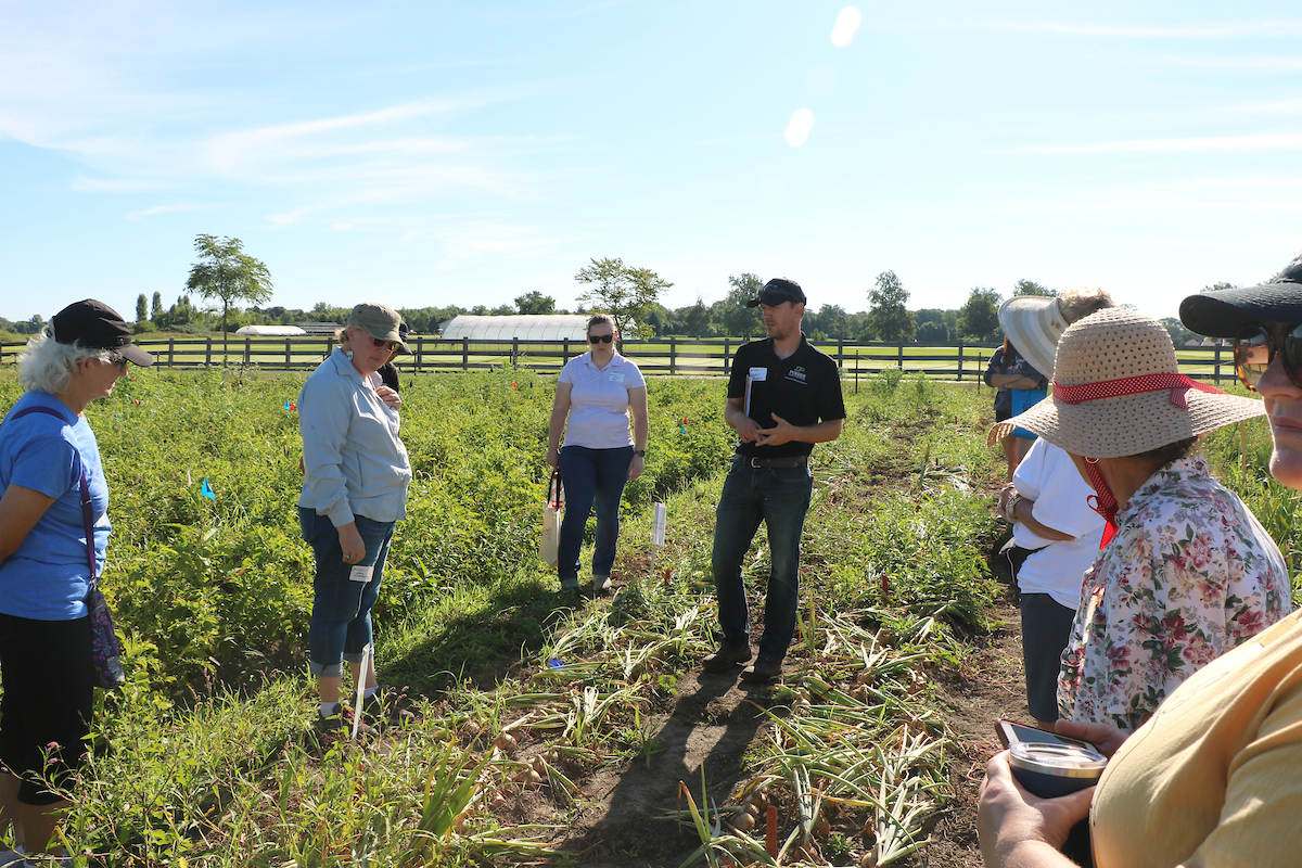 producers in produce field