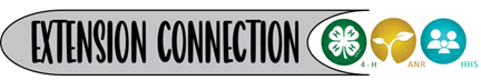 EC Newsletter Logo