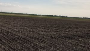 20180510_194047-300x1711.jpg