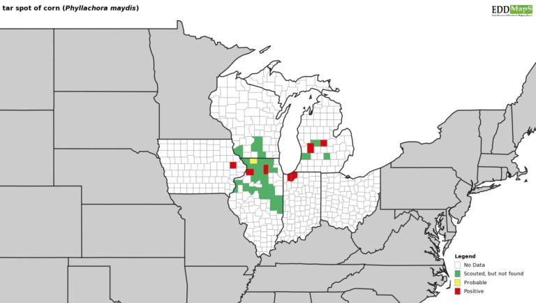 figure-3-july-25-768x4341.jpg