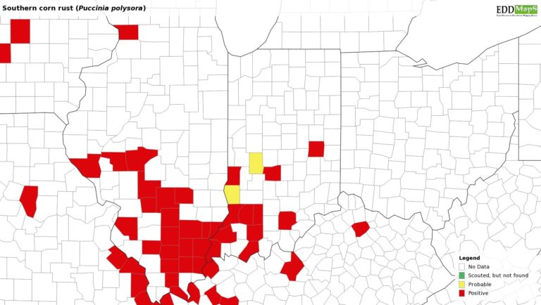 fig-1-telenko-15-aug-corn-rust-map-768x4341.jpg