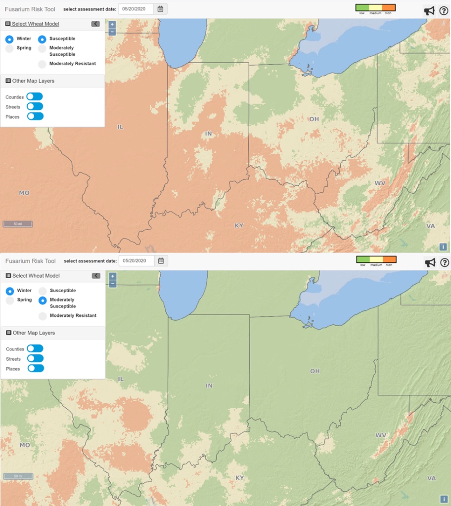 Image of a map (of neighbor states to Indiana) with of fusarium head blight on wheat 