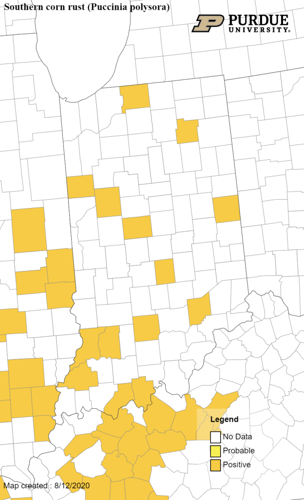 Map of counties confirmed for southern corn rust in Indiana, positive counties colored in yellow