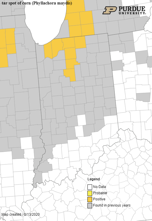  Map of counties confirmed for active tar spot in Indiana, counties positive colored in yellow.