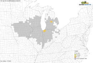 Tar spot map for 2020, infected counties colored in yellow