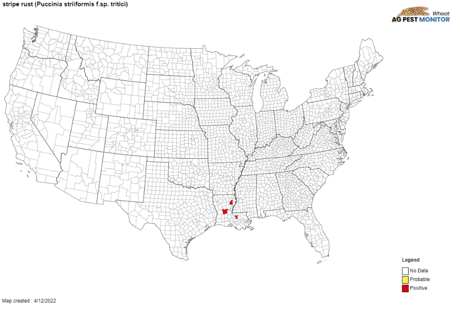 southern-corn-rust-distribution-june162022