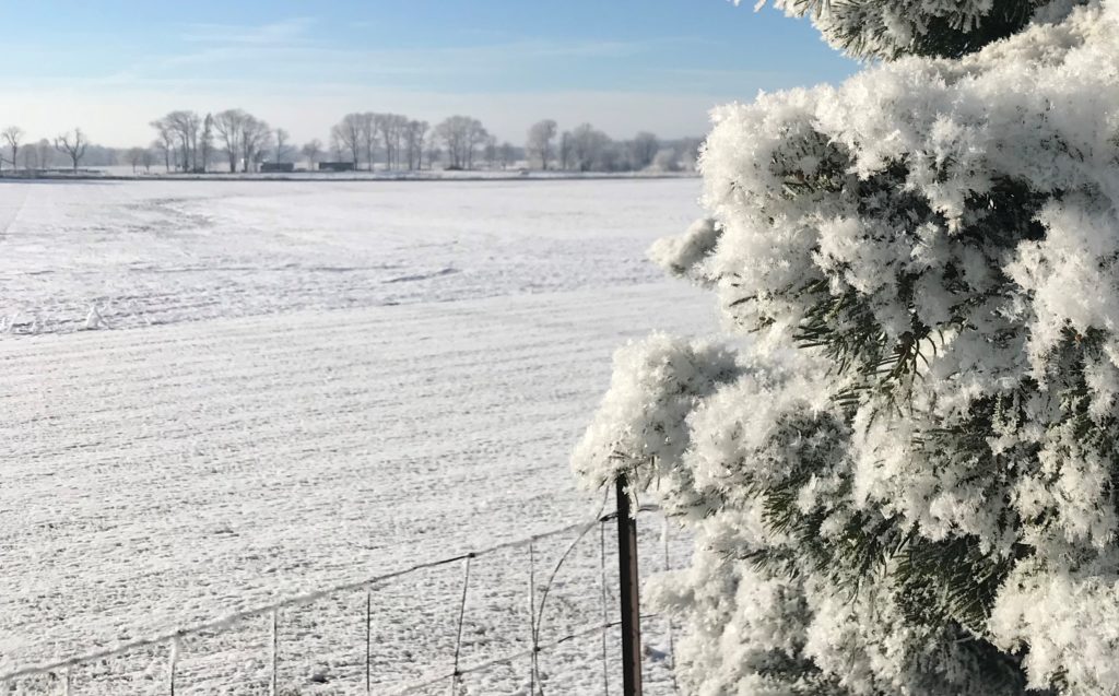 snow