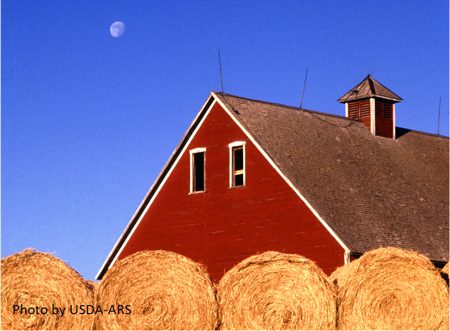 Round bales barn