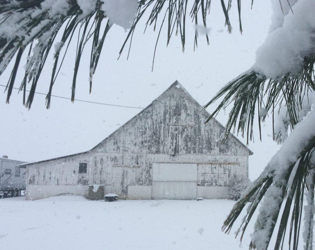 snowy barn
