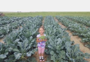 child in the harvest