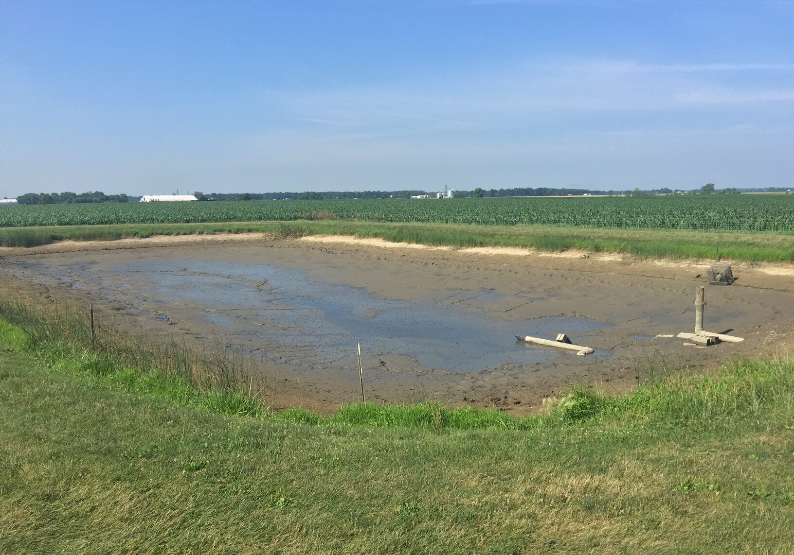 drained pond