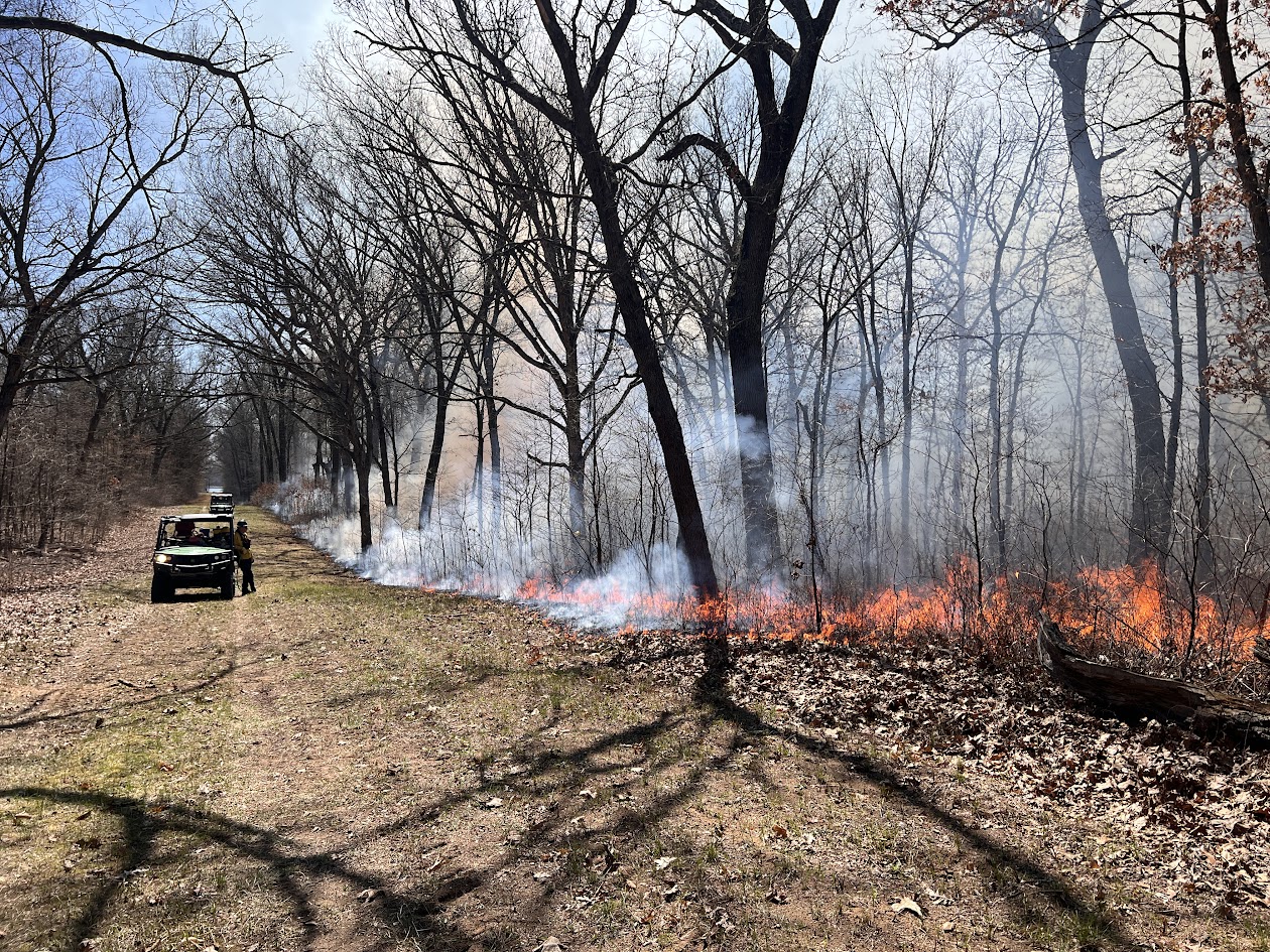 Wide firebreak through forest