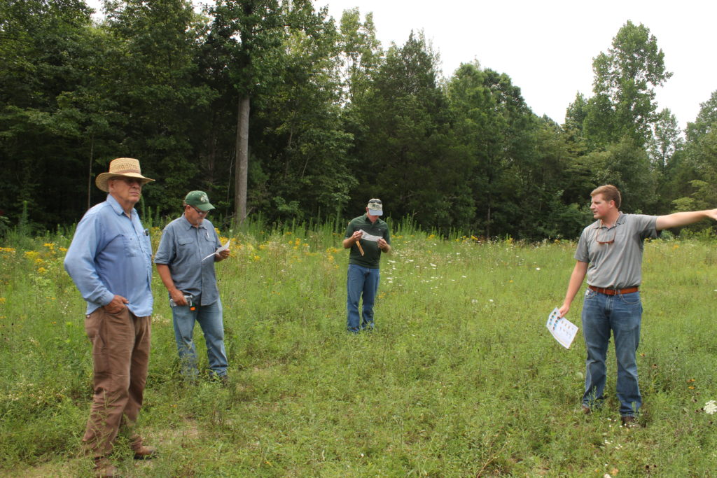 Assessing grasslands up against forest.