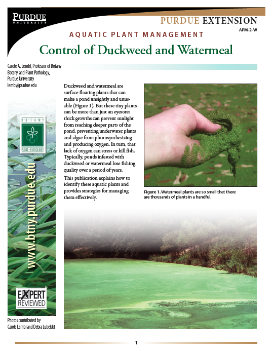 APM-2-W Publication