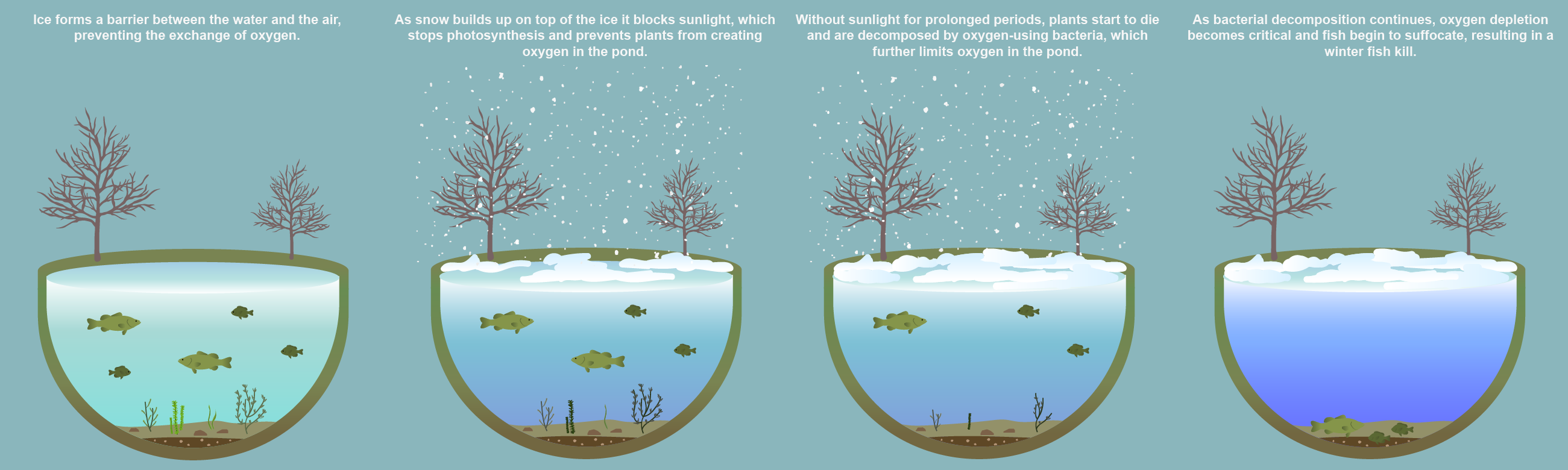 WinterFishKills winterfishkills1.png