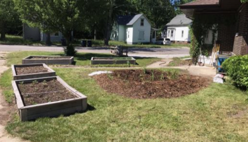 A grassy yard next to a building and in front of a road with four raised garden beds and one rain garden, all containing small plants.