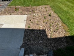 the final rain garden design for noble county