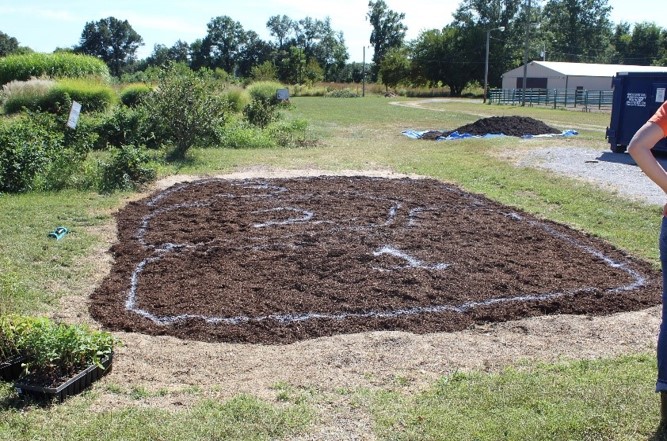 jackson-raingarden