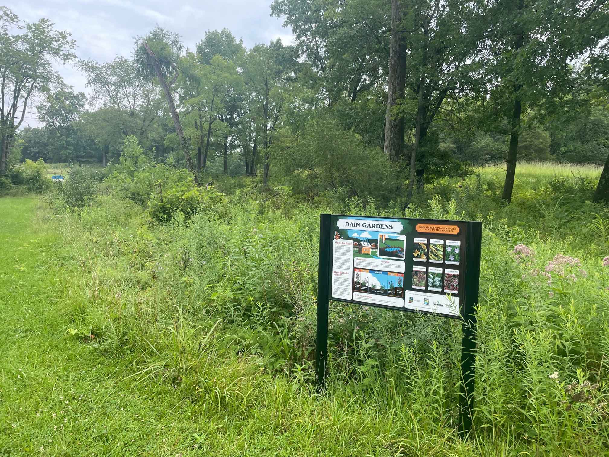 raingarden3.jpg