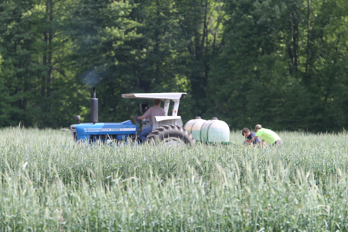 tractor spraying pesticides in a field