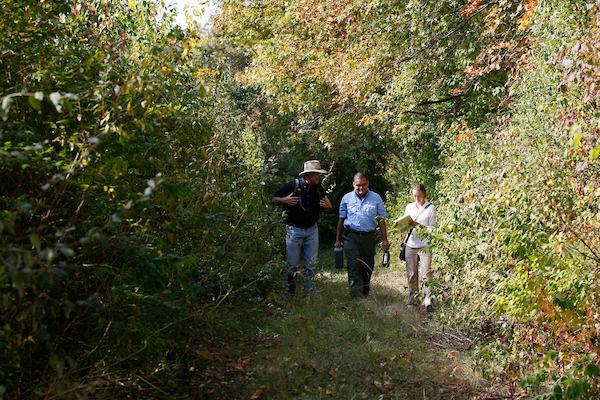 Three adults walking along a nature trail.