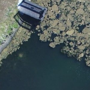 overhead lagoon shot with green algae growth