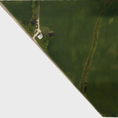 Image from a field taken by a drone from up high