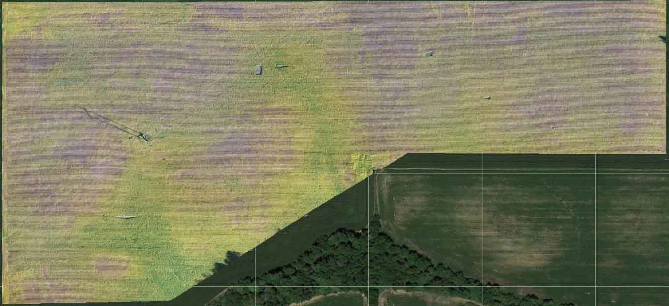 Image of a soil map that shows premature leaf drop triggered the detection of the fungus Cercospora kikuchii