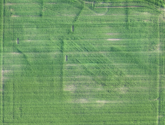 A true color image of a field using red, green and blue wavelengths