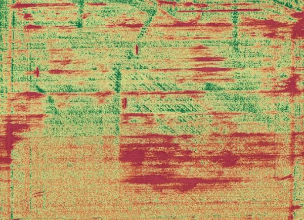 Image of a Visible Atmospherically Resistant Index (VARI)